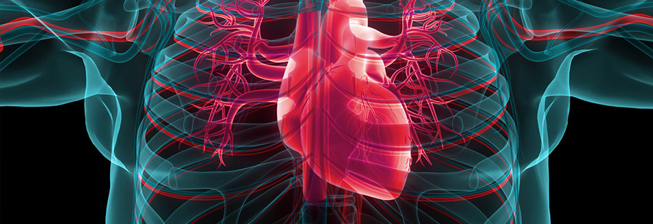 Mechanical and Circulatory Support