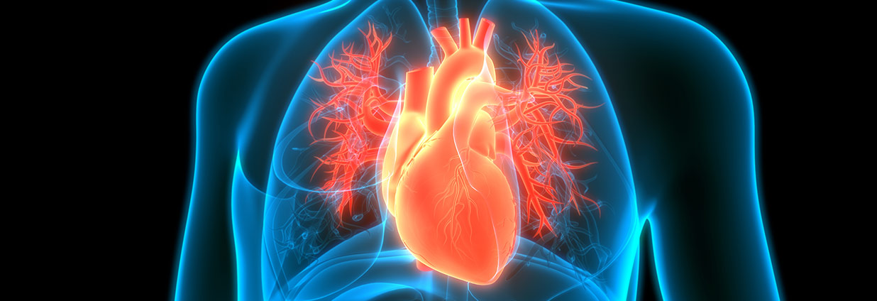 Valve Clinic-Structural Heart